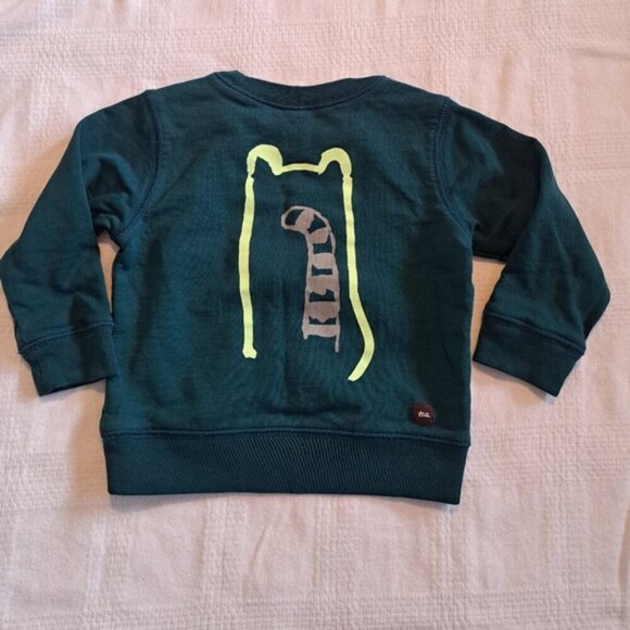 Tea Collection boys size 9-12 months green sweatshirt VGUC - Picture 3 of 3